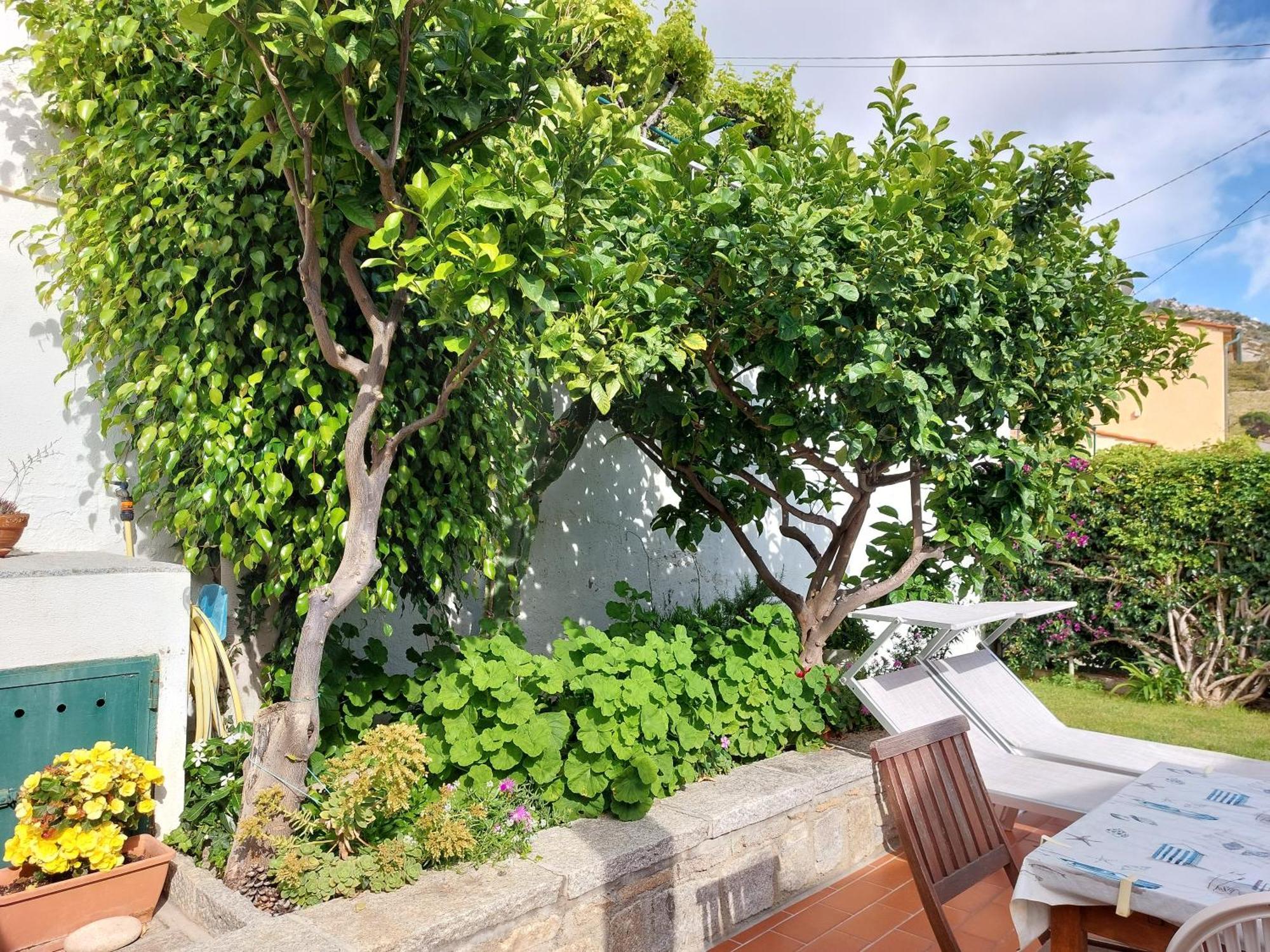 فيلا Casa Guerrino Chiessi المظهر الخارجي الصورة